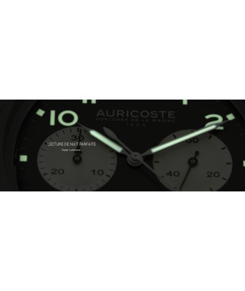 Auricoste Watch - Grand Bleu paiement sécurisé