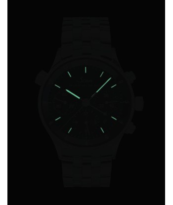 Sinn - 6000 - Leather strap + metal bracelet Voir les baskets