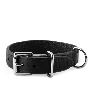 Collier cuir pour animal de compagnie (chien, chat...) - Alligator rembourrage situé sous