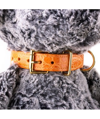 Collier cuir pour animal de compagnie (chien, chat...) - Alligator rembourrage situé sous