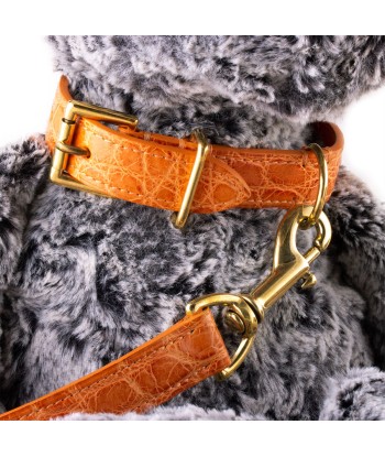 Collier et laisse cuir pour animal de compagnie (chien, chat...) - Alligator Pour