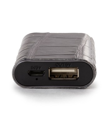 Mini Powerbank / batterie externe - Porte-clé - Alligator - Chargeur universel iPhone , Samsung , smartphone, tablette... ( noir, marron, gris) Jusqu'à 80% De Réduction