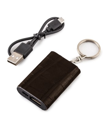 Mini Powerbank / batterie externe - Porte-clé - Alligator - Chargeur universel iPhone , Samsung , smartphone, tablette... ( noir, marron, gris) Jusqu'à 80% De Réduction