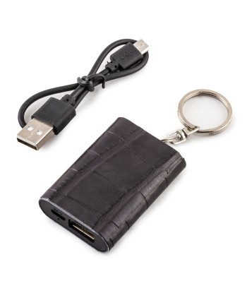 Mini Powerbank / batterie externe - Porte-clé - Alligator - Chargeur universel iPhone , Samsung , smartphone, tablette... ( noir, marron, gris) Jusqu'à 80% De Réduction